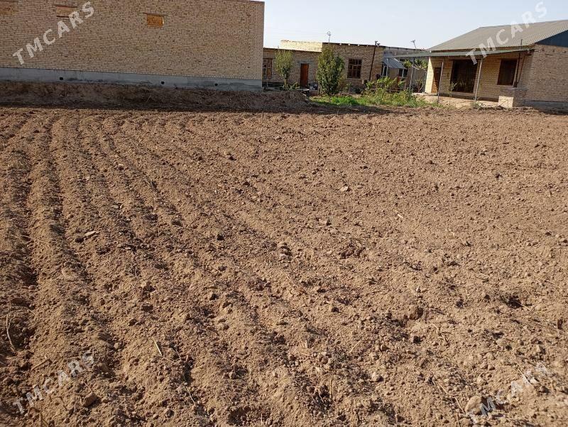 айрапорт дача жайы ве ер мелек - Туркменабат - img 3