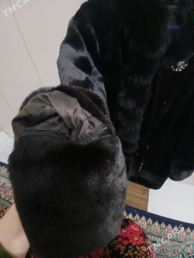 ẓ̌uba - Aşgabat - img 5