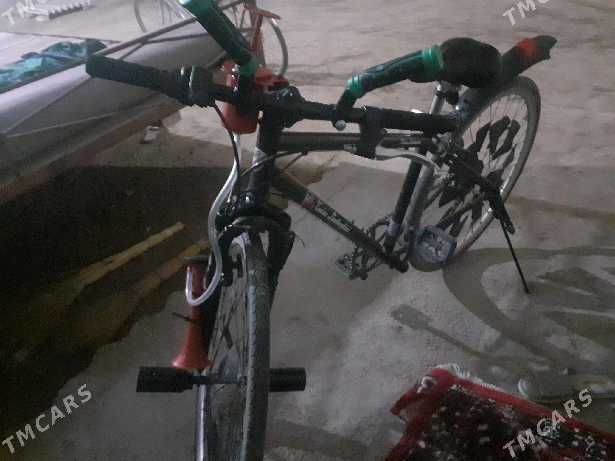 spartiwni welik - Dänew - img 2