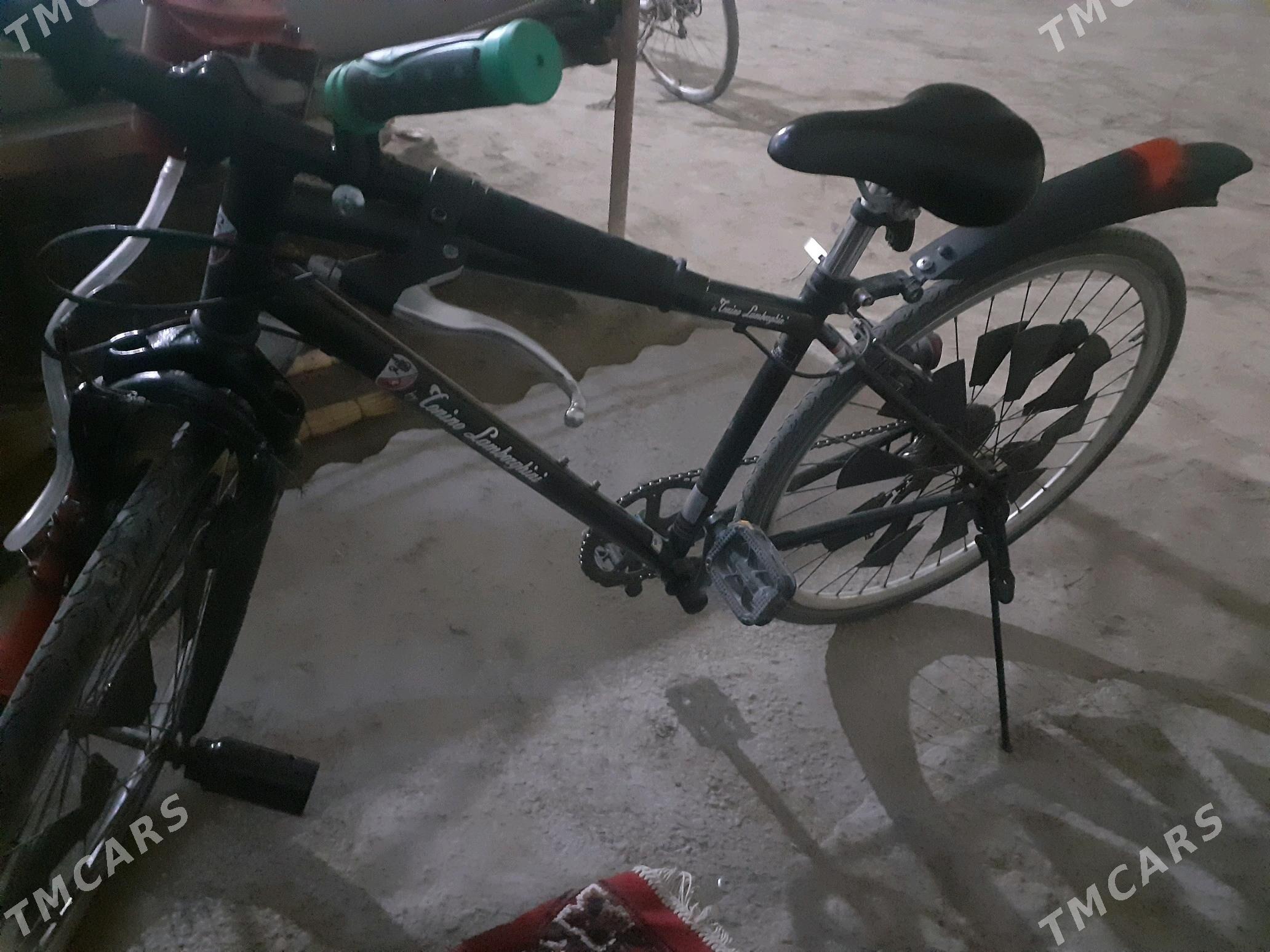 spartiwni welik - Dänew - img 1