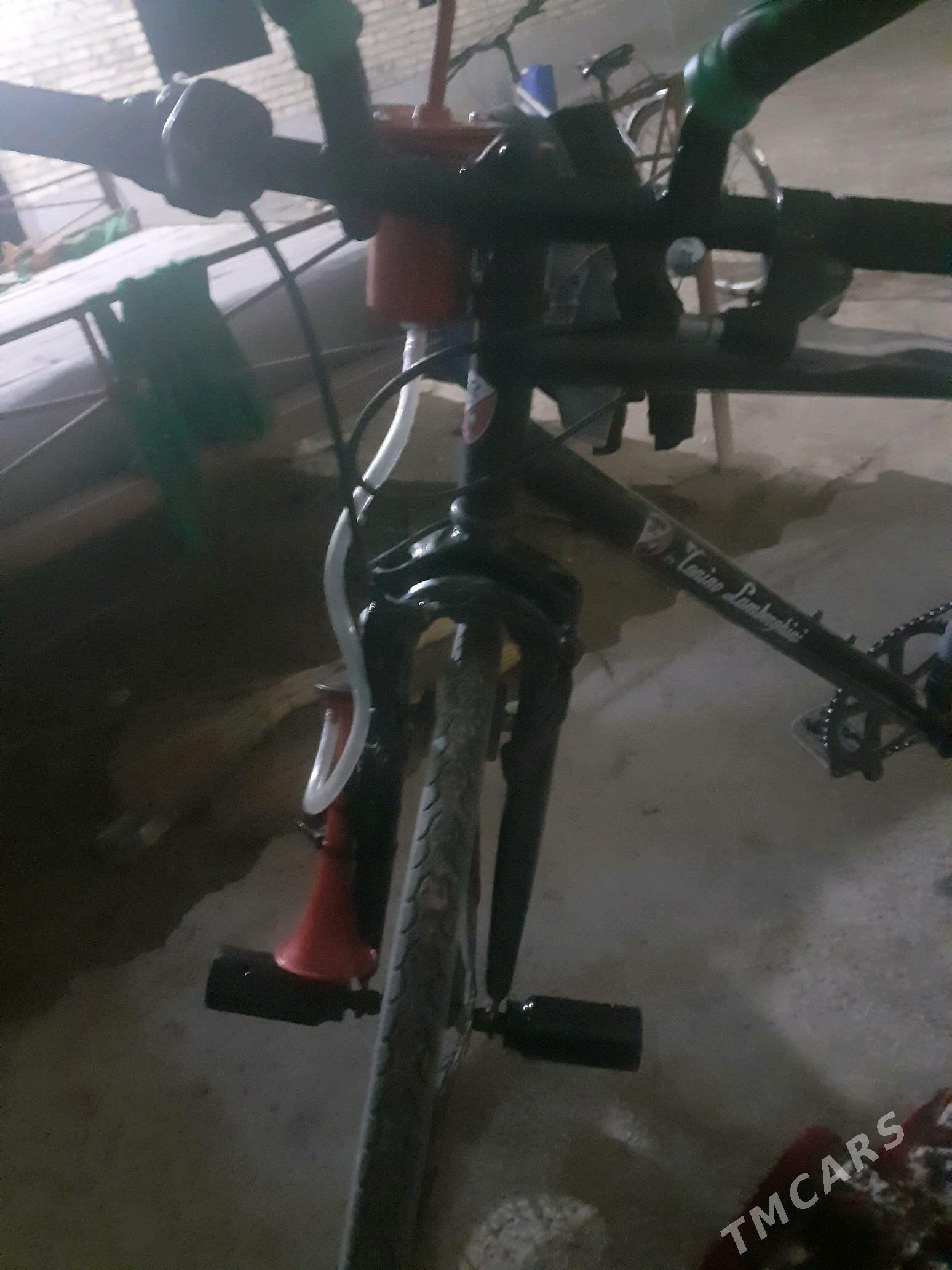 spartiwni welik - Dänew - img 4