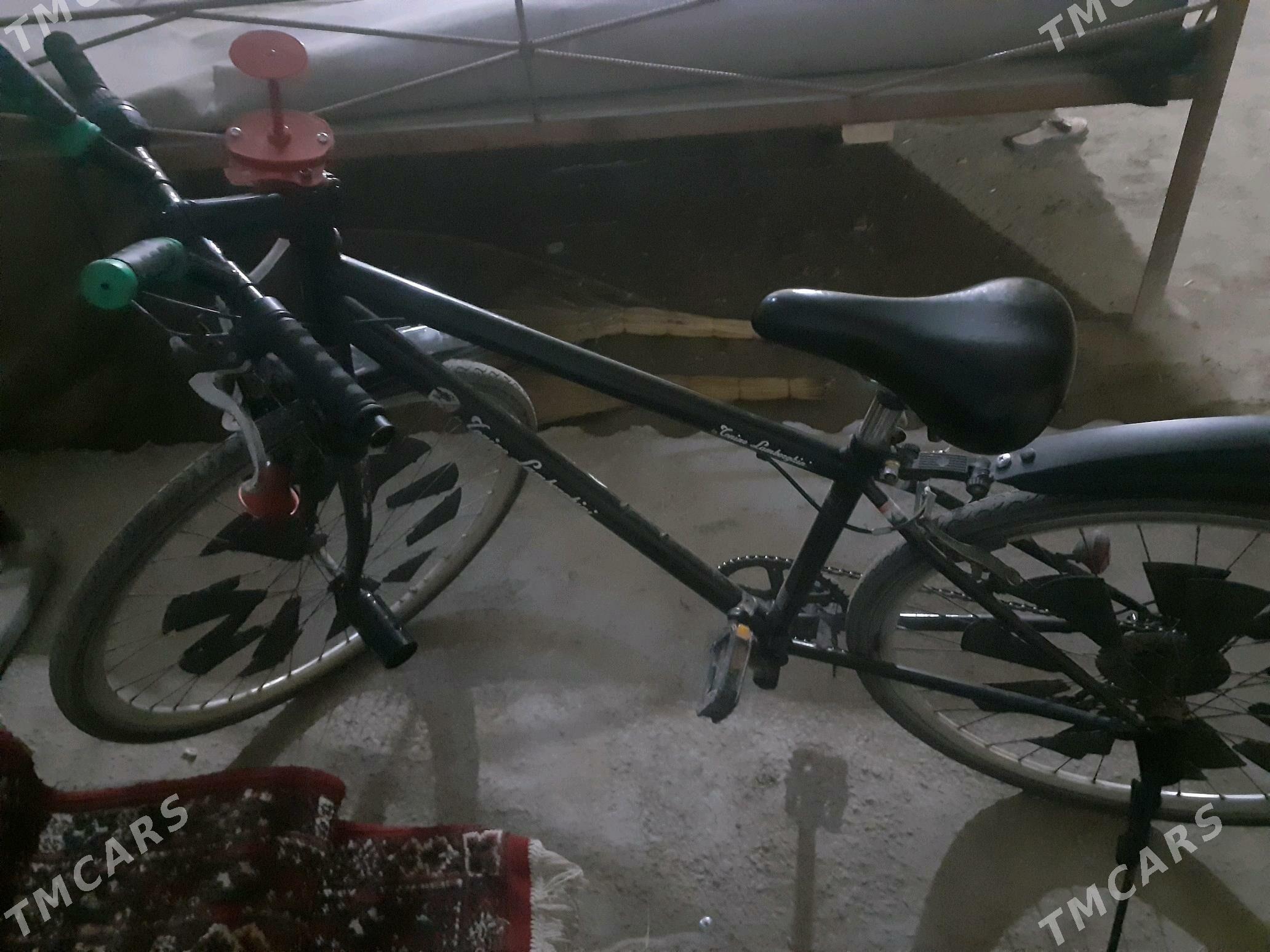 spartiwni welik - Dänew - img 3