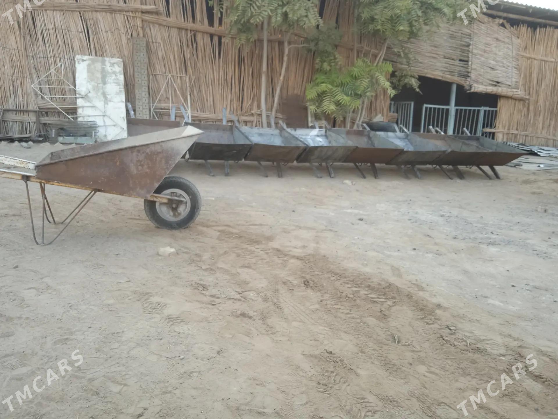 Arawa we Galtak - Wekilbazar - img 2