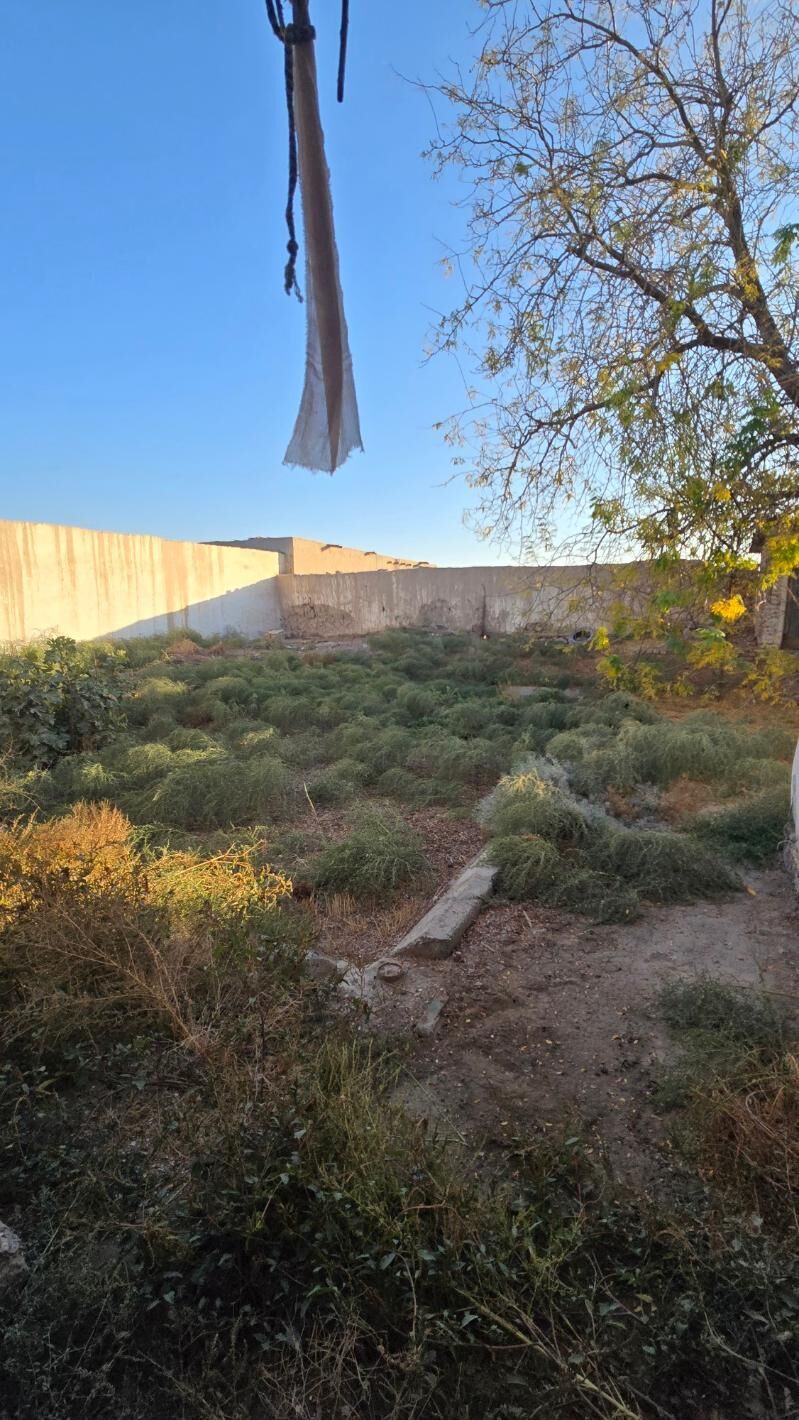 ЖДП 4соток 4комнат - Daşoguz - img 6