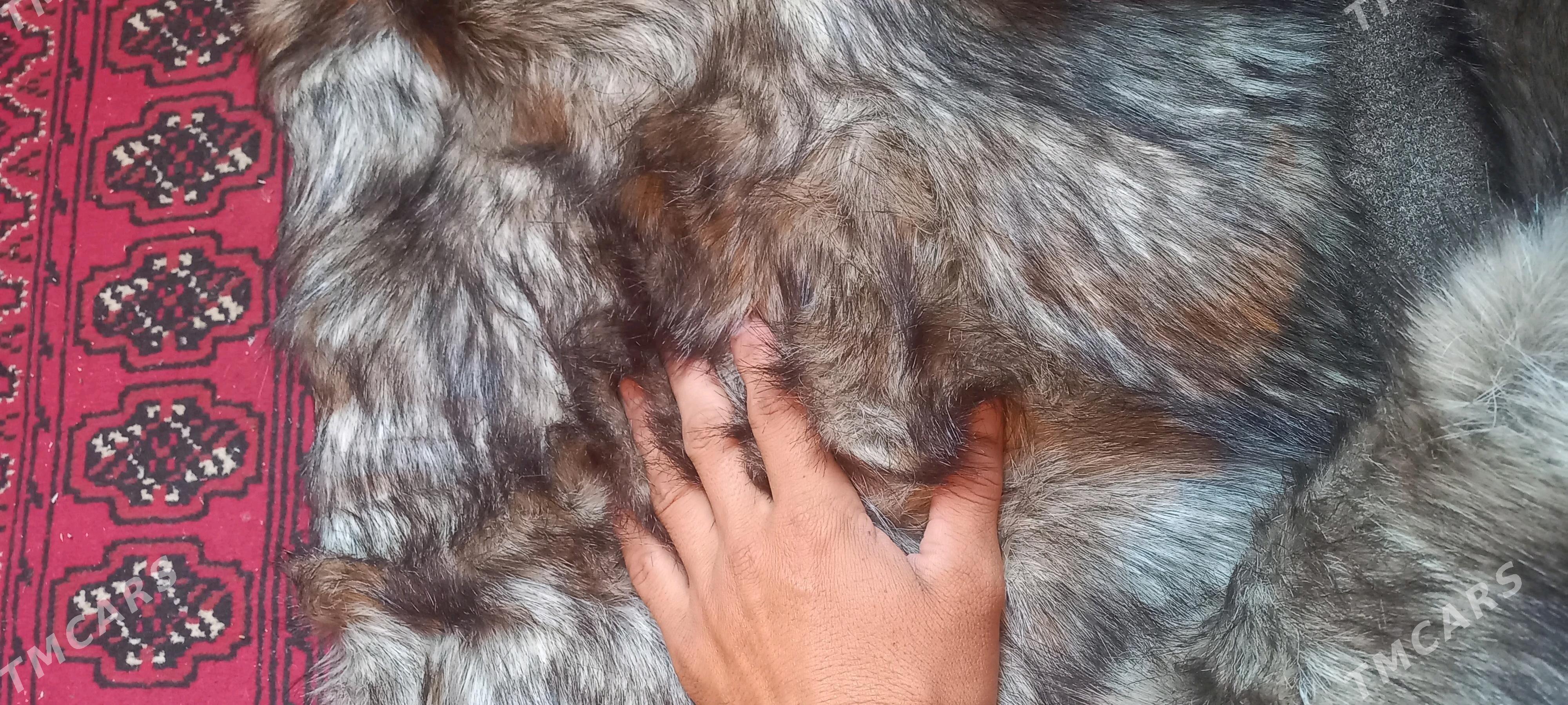 meh мех - Дашогуз - img 1