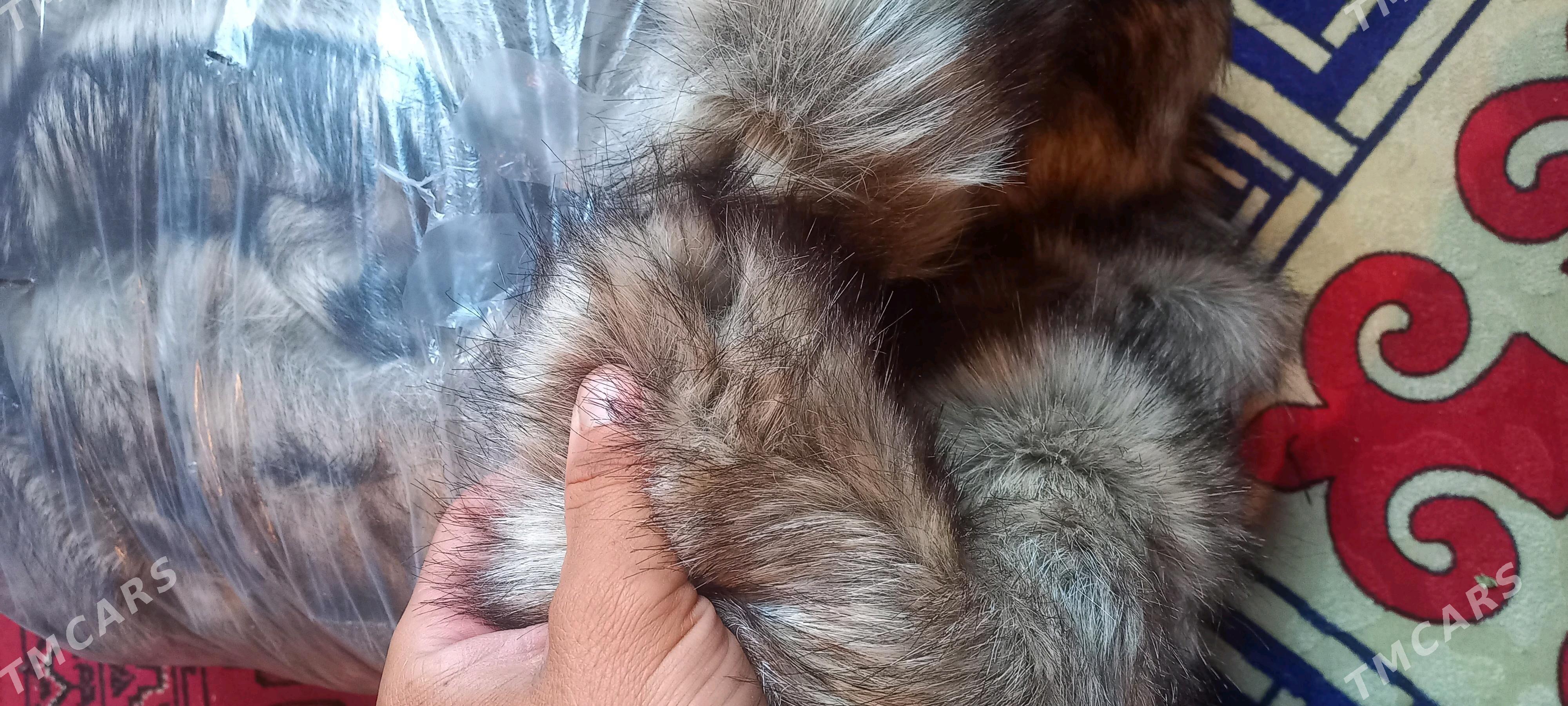 meh мех - Дашогуз - img 2