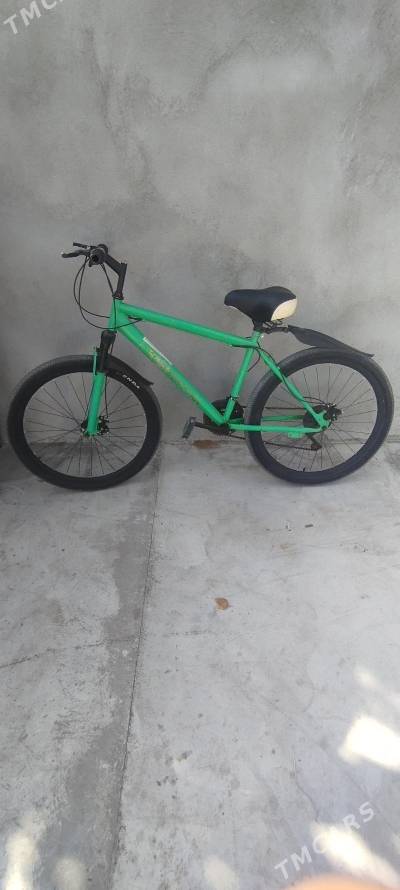 Türkmenistan tigir - Çoganly - img 1