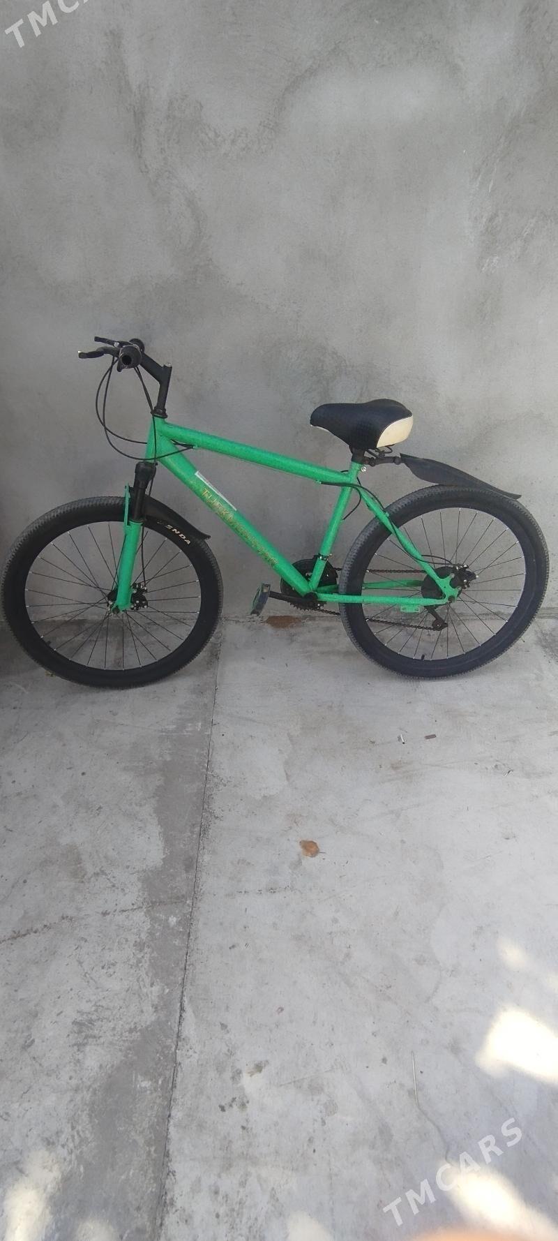 Türkmenistan tigir - Çoganly - img 3