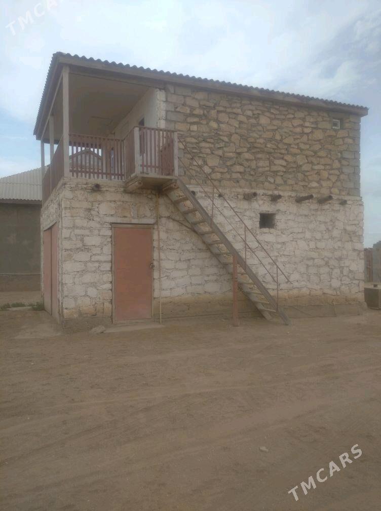 JAY HOWLY - Esenguly - img 4