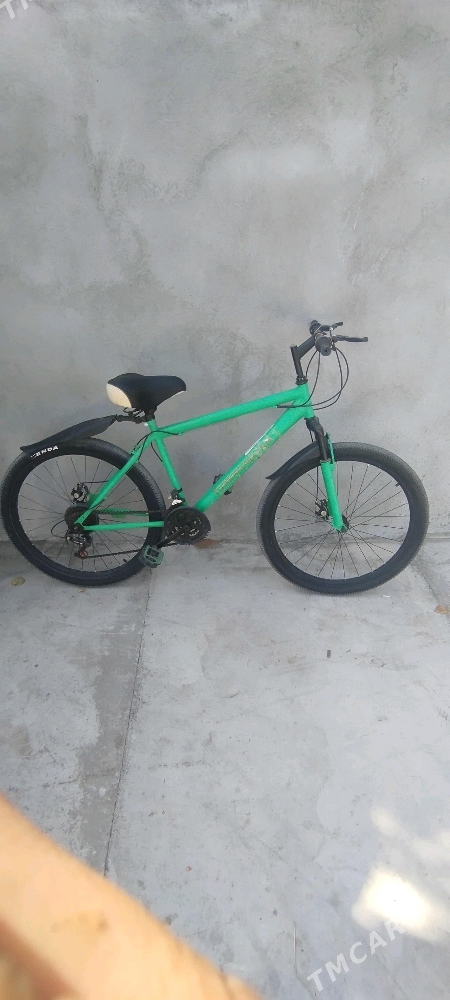 Türkmenistan tigir - Çoganly - img 2