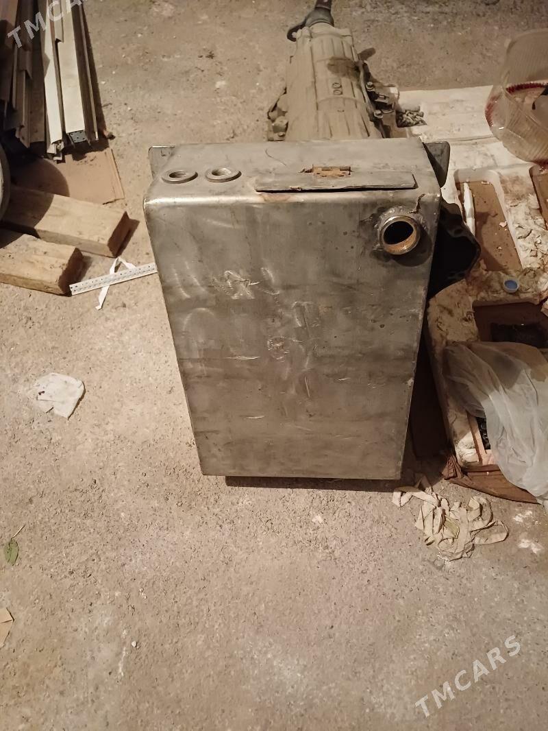 Atapleniya Neržaweýka baçok - Хитровка - img 1