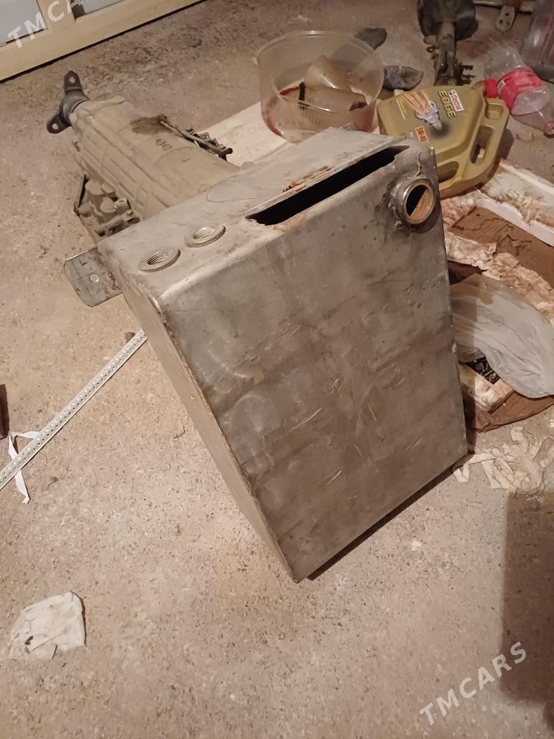 Atapleniya Neržaweýka baçok - Хитровка - img 2