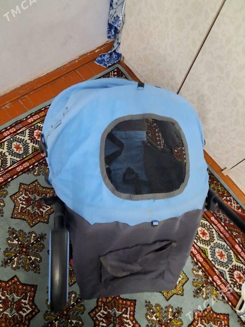 Kalyaska - Теджен - img 3