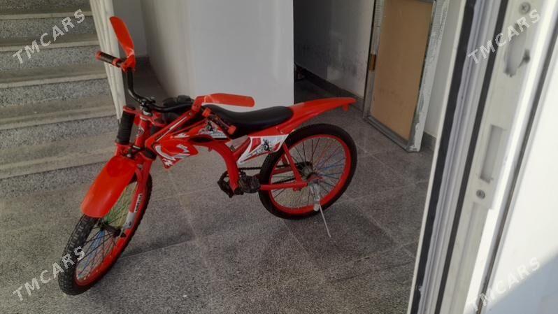 tigir - Gurtly - img 2