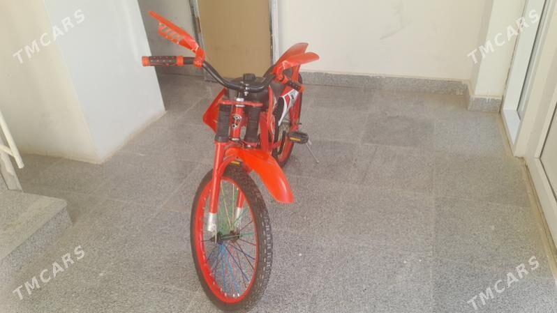 tigir - Gurtly - img 3