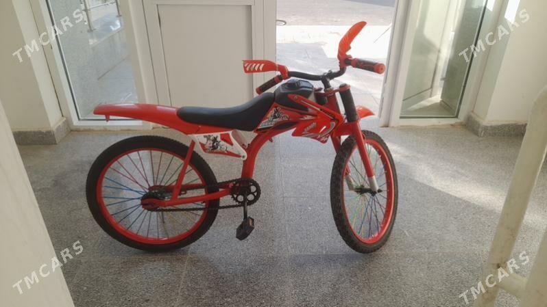 tigir - Gurtly - img 4