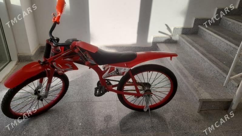 tigir - Gurtly - img 1