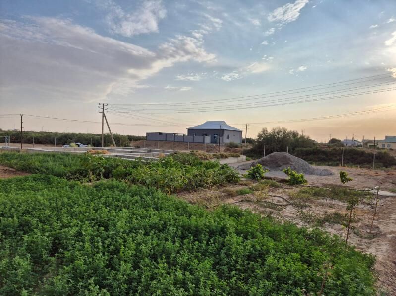 Satlyk mellek yer 9 sotok - Şatlyk - img 5