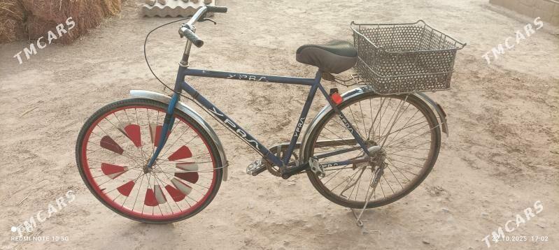 ural tigir - Babadaýhan - img 4