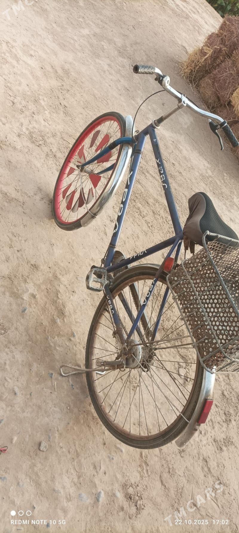 ural tigir - Babadaýhan - img 3