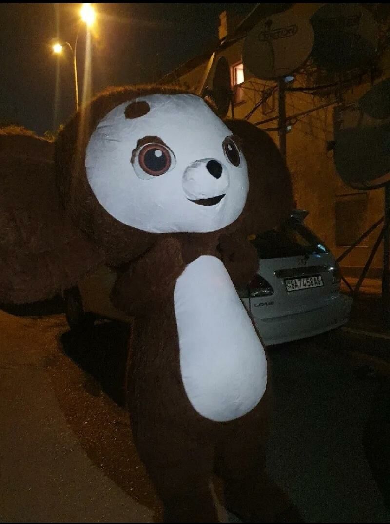 Mişka🧸 - Aşgabat - img 3