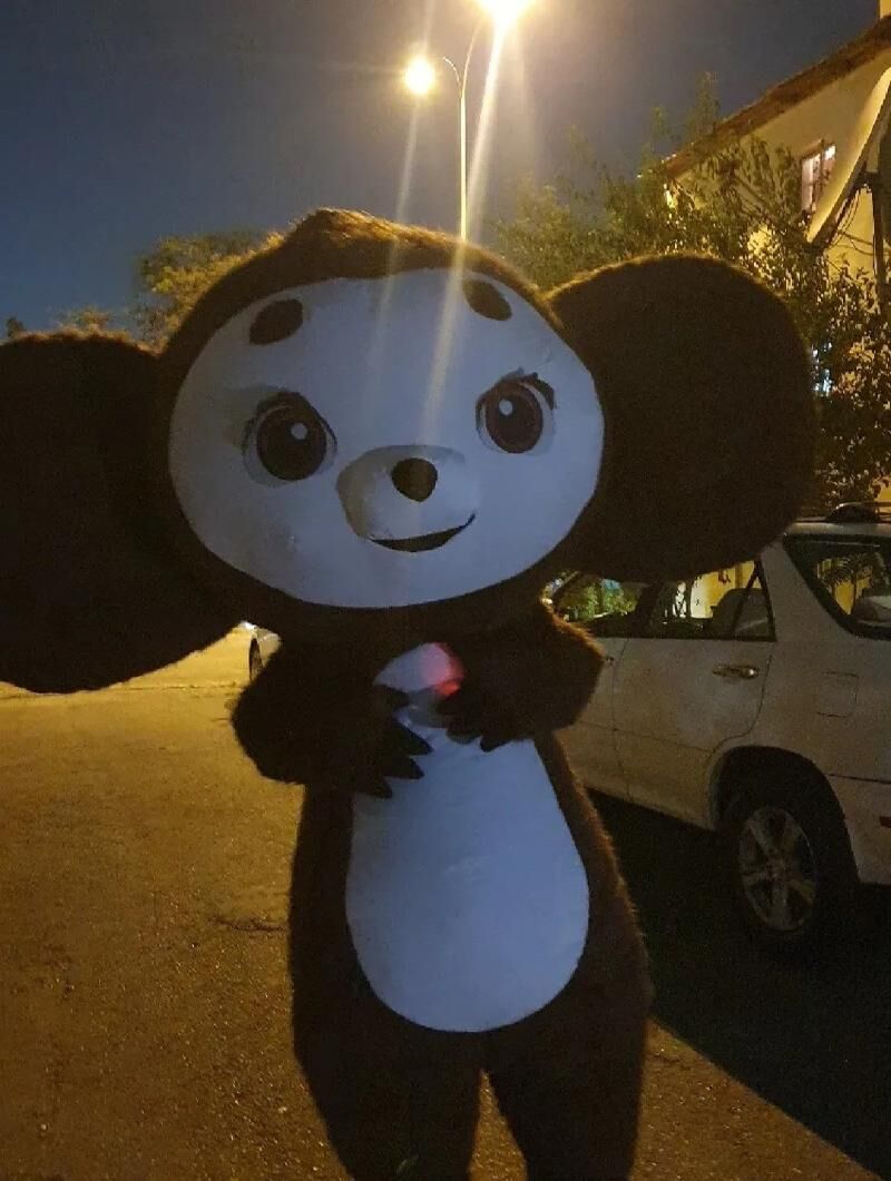 Mişka🧸 - Aşgabat - img 4