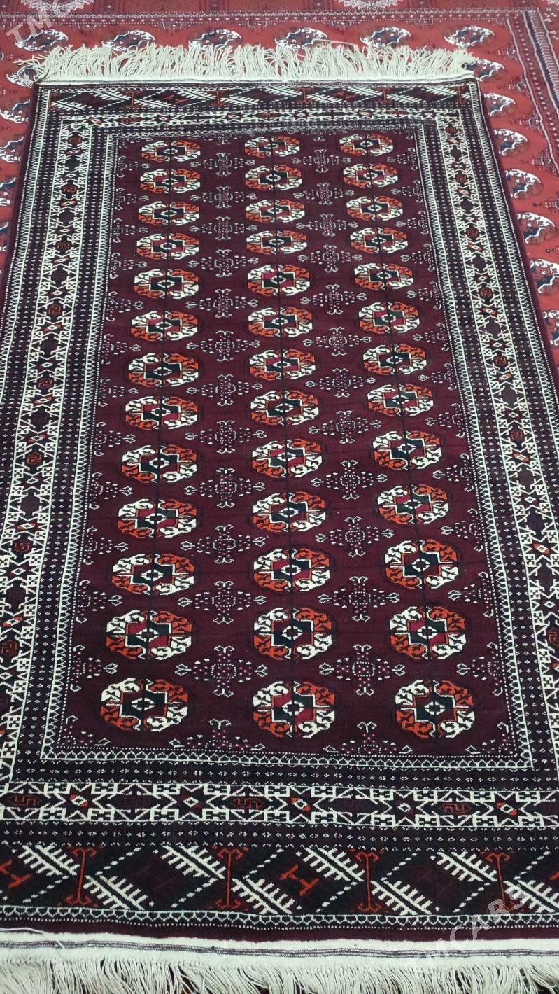 Haly - Балканабат - img 1