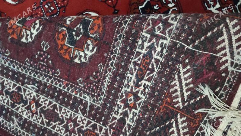 Haly - Балканабат - img 3