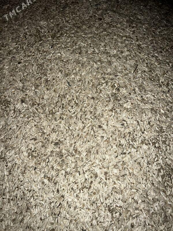 Günebakar çigit - Ашхабад - img 2