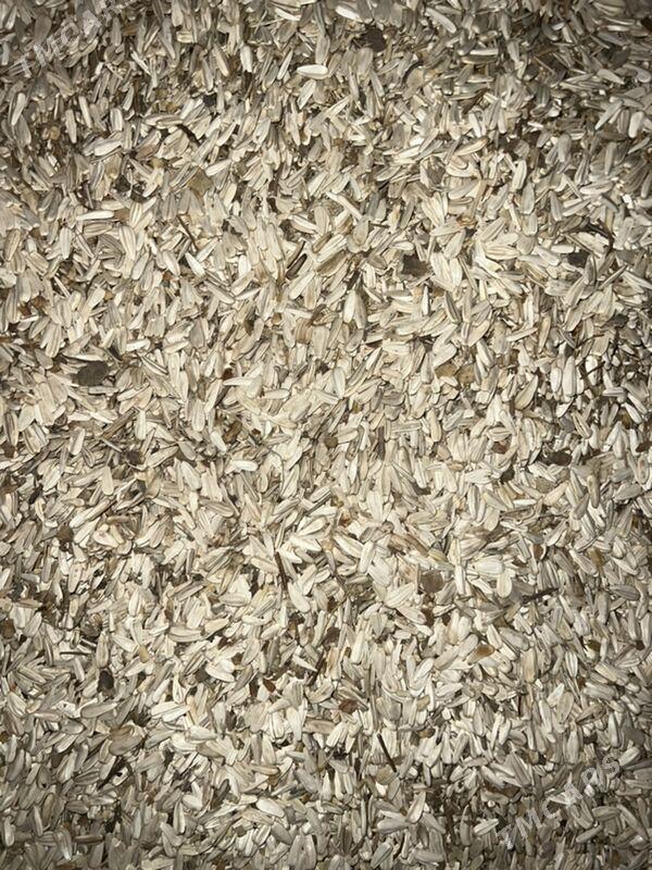 Günebakar çigit - Ашхабад - img 1