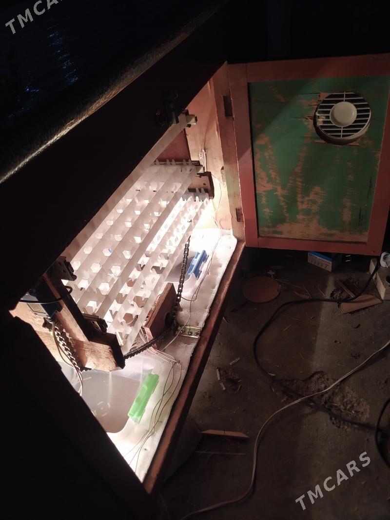 inkubator 264 yumurtgalyk - Мары - img 4