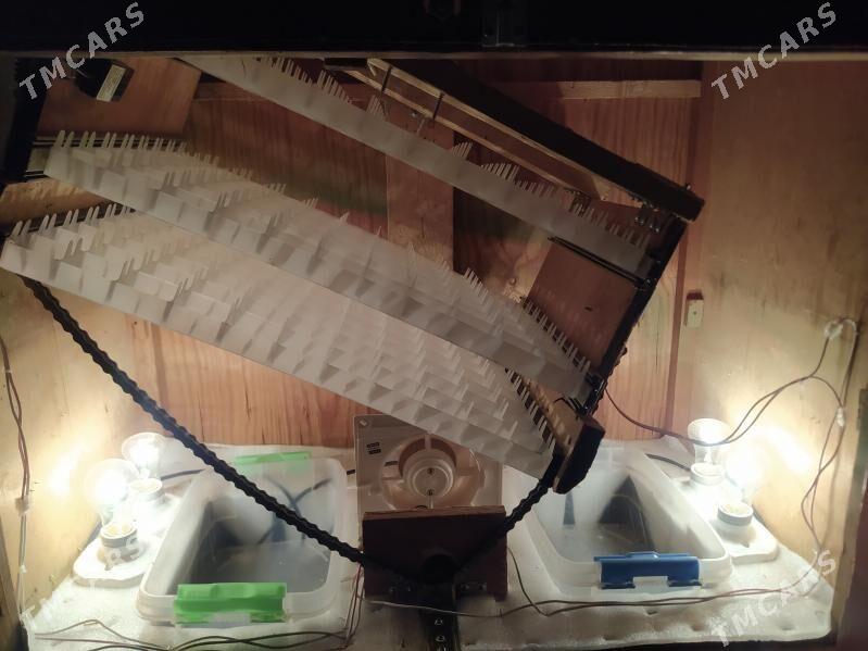 inkubator 264 yumurtgalyk - Мары - img 3