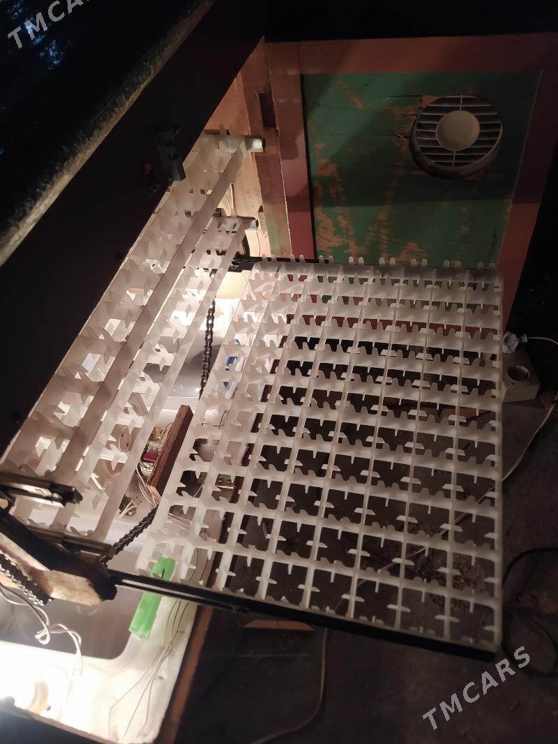 inkubator 264 yumurtgalyk - Мары - img 5