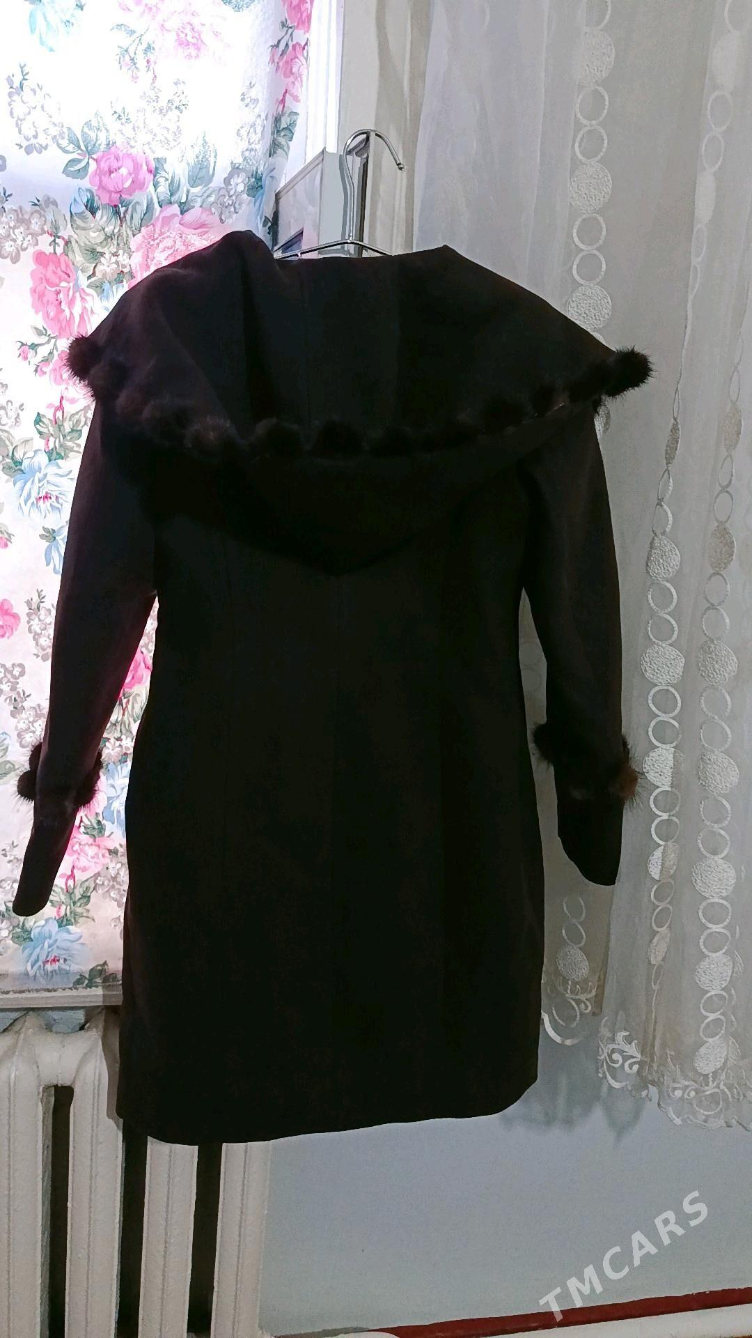 palto - Murgap - img 2