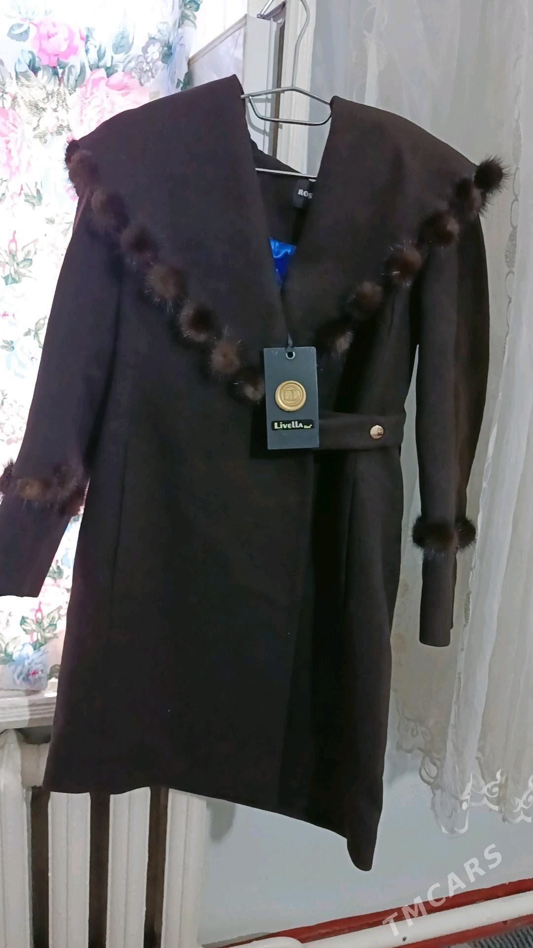 palto - Murgap - img 1