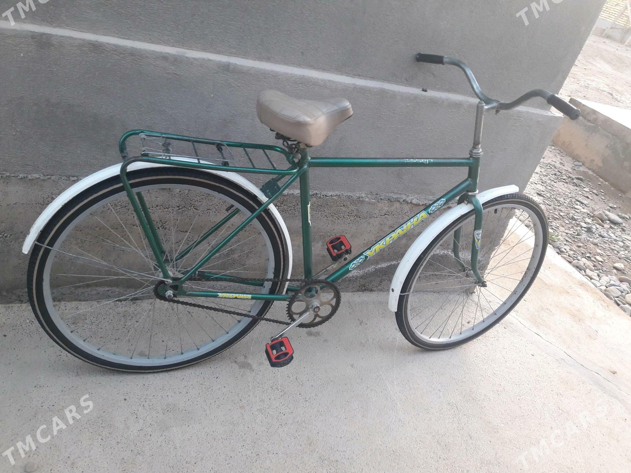 Tigir ural - Tejen - img 1