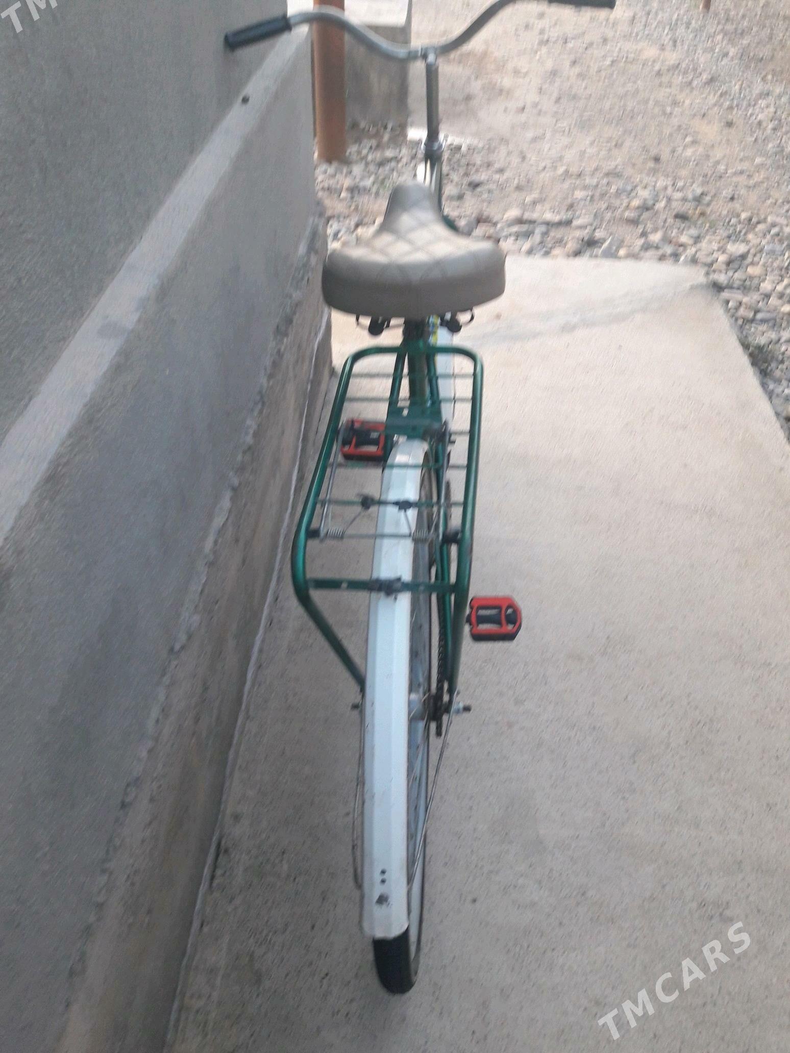 Tigir ural - Tejen - img 3