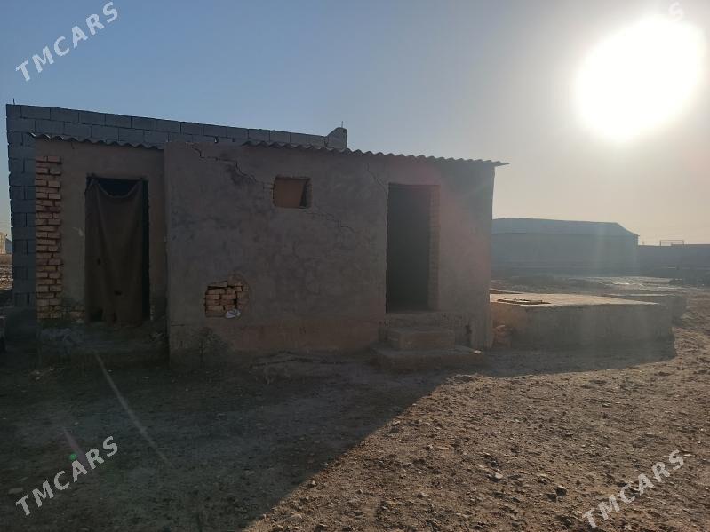 jaÿ - Tejen - img 2