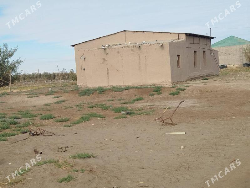 plan jay - Görogly (Tagta) - img 3