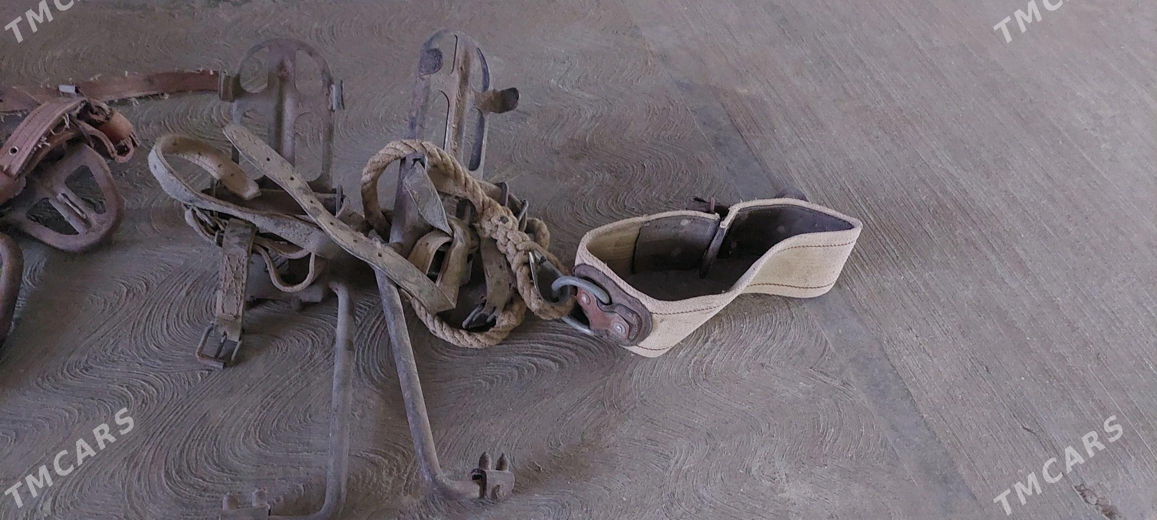 ysdalba munulyan - Mary - img 3