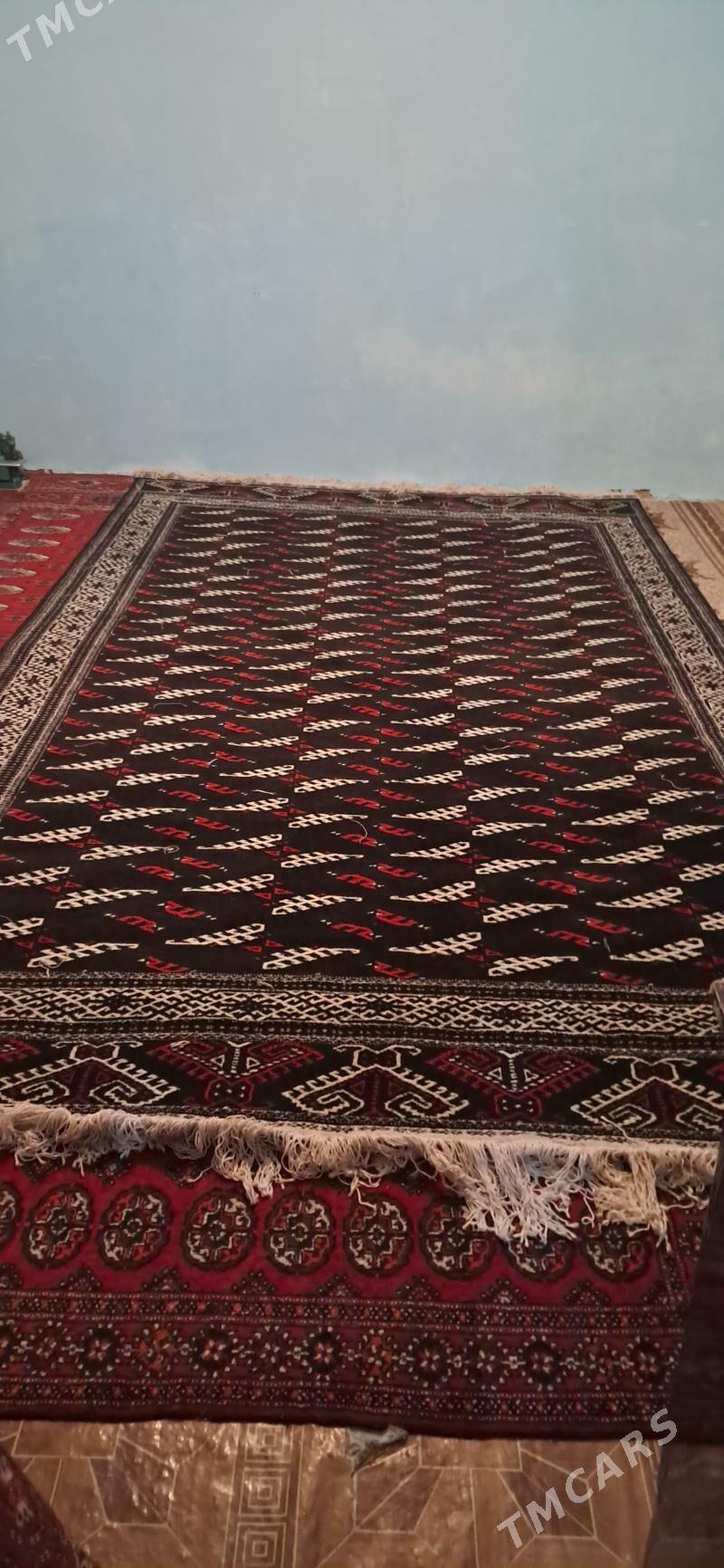 Gara haly - Берекет - img 3