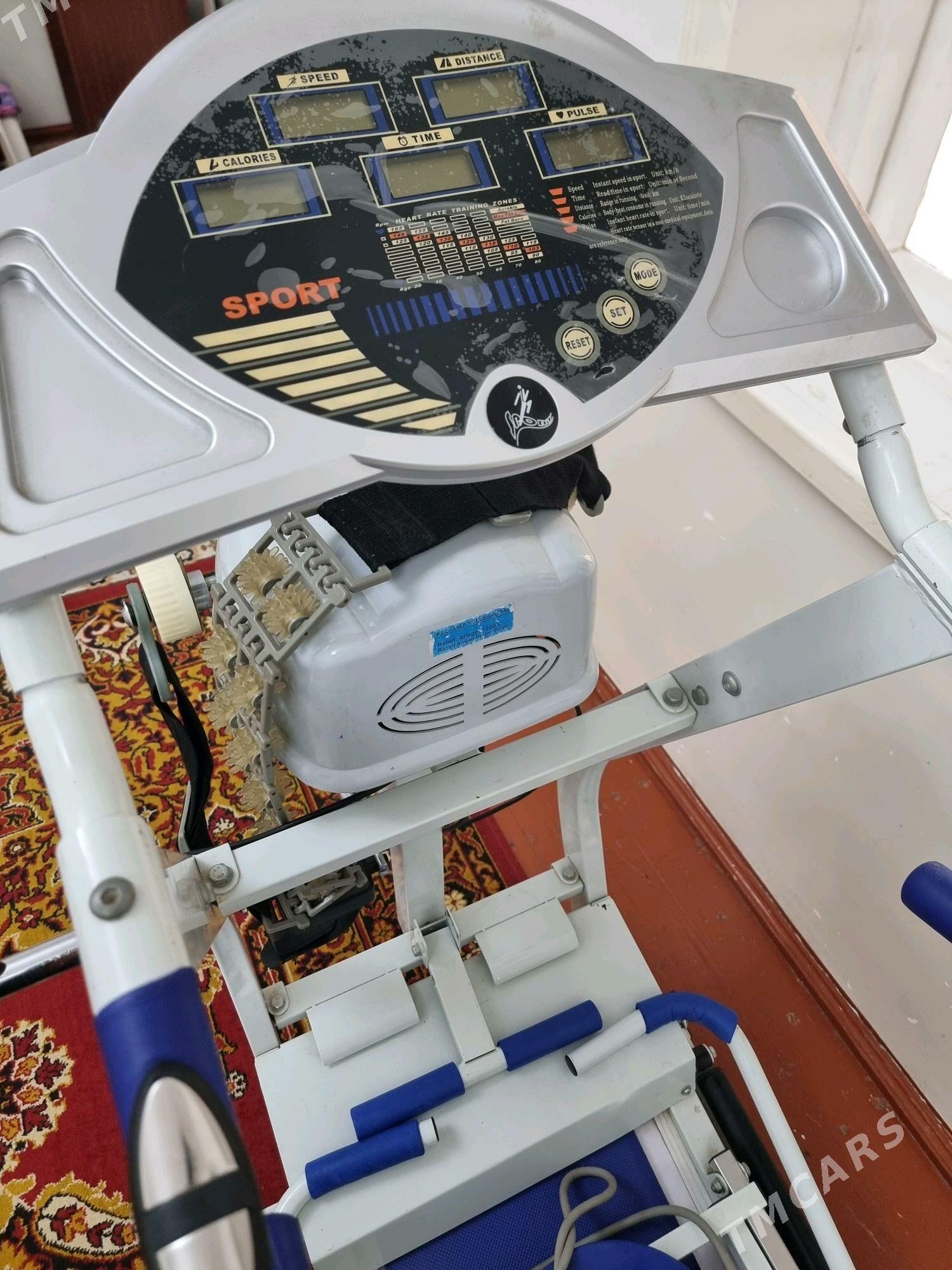 Беговая дорожка,Ylganyan lenta - Mary - img 4