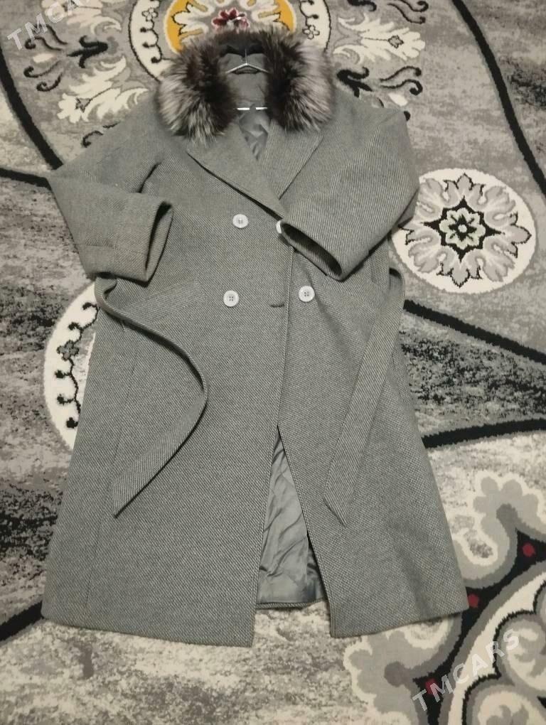 Palto - Дашогуз - img 1