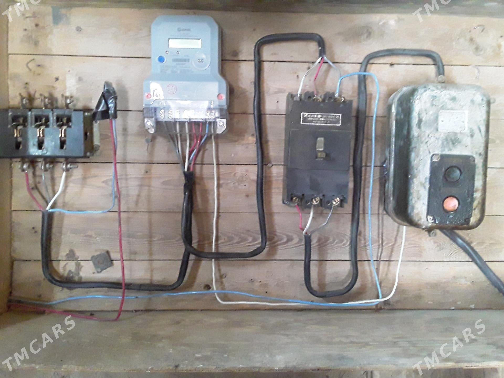 Juwaz - Гороглы (Тагта) - img 8