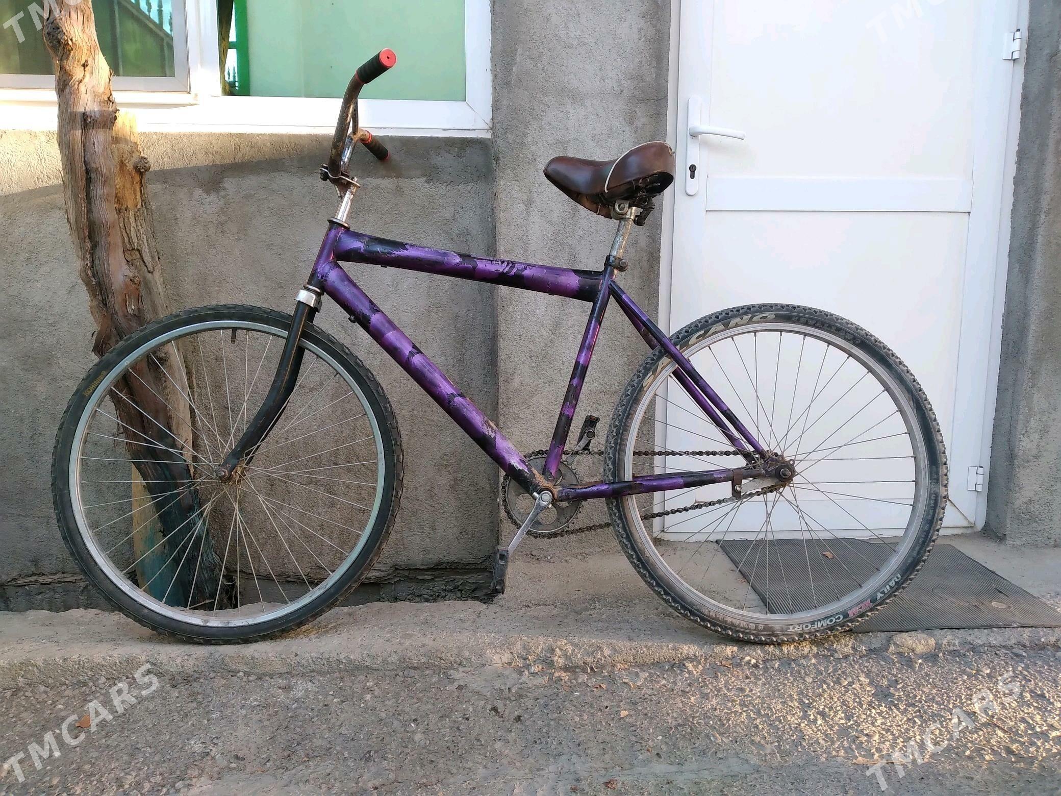 tigir gyssagly welik 26lyk uly - Bedew - img 1