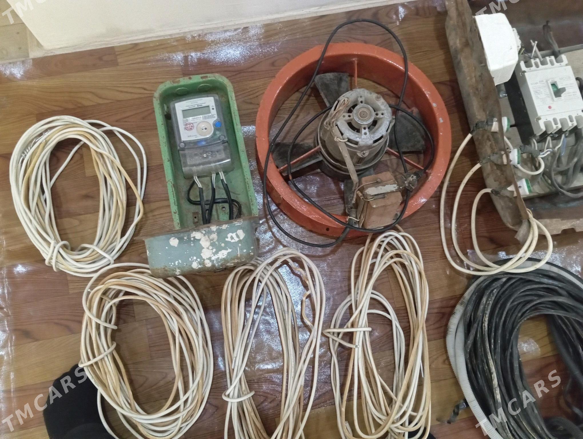 Tok ury - Мургап - img 2