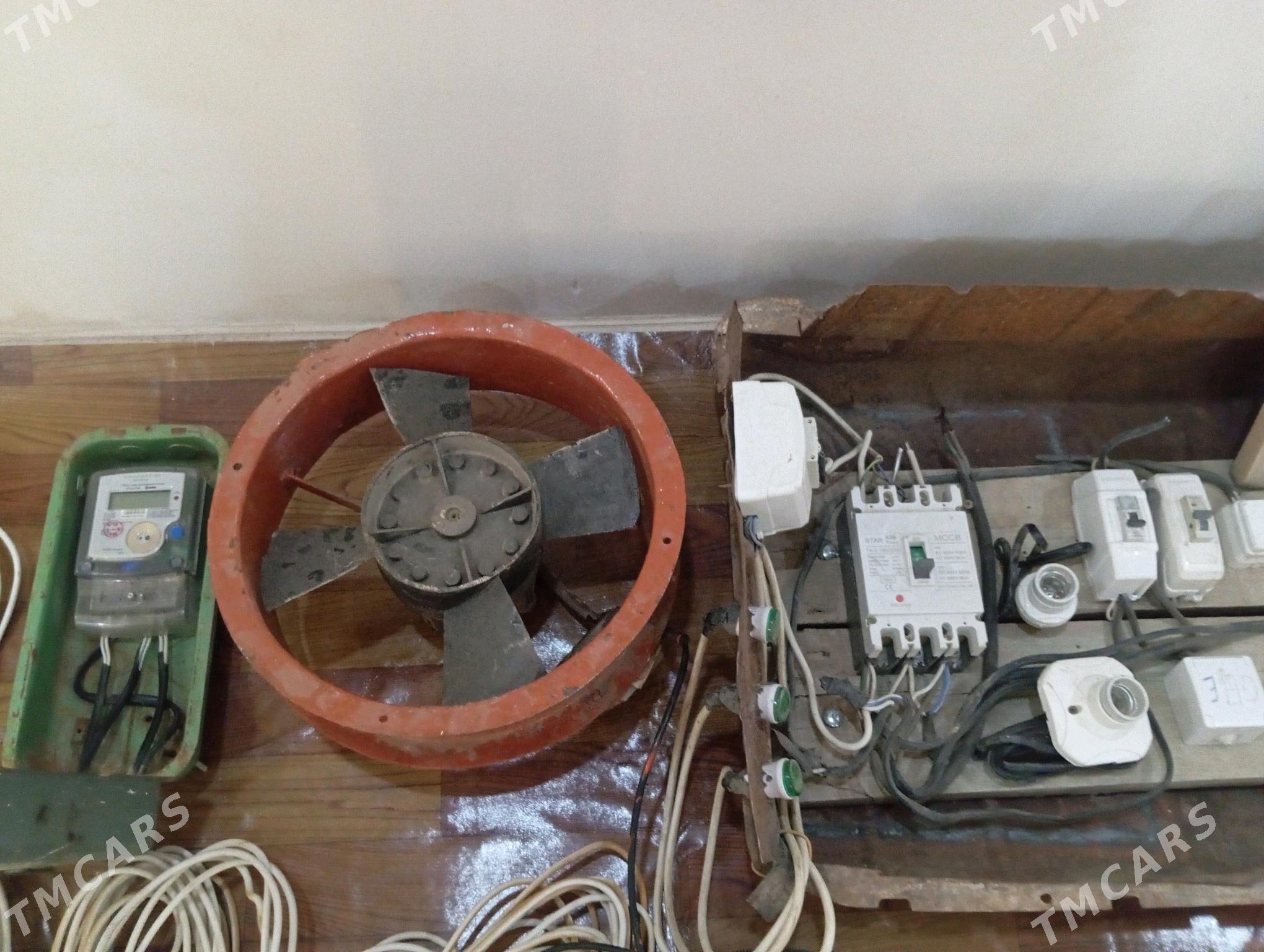 Tok ury - Мургап - img 3