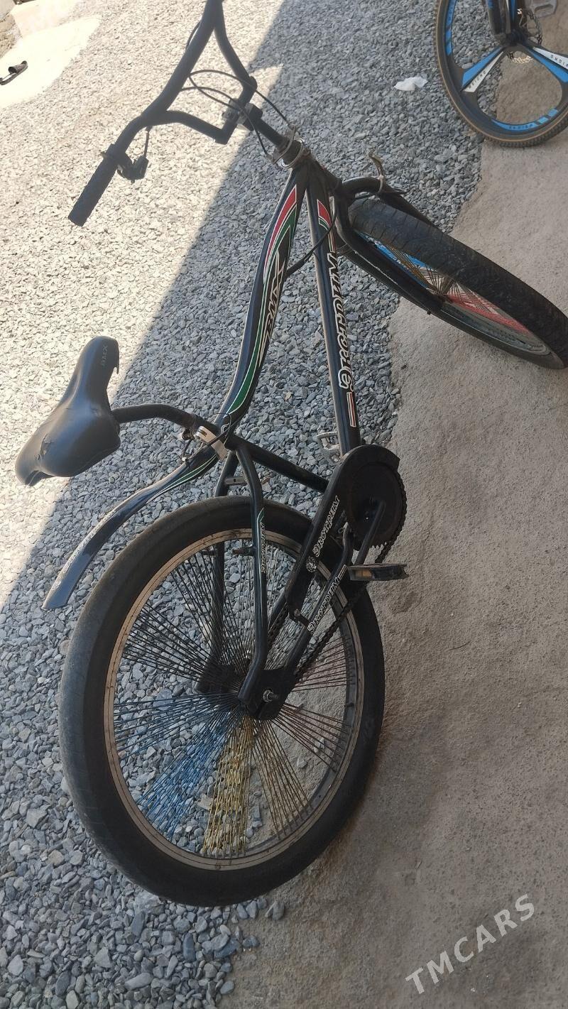 tigir duga päket sürlen - Bäherden - img 2