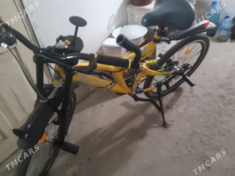 тигир олимпия - Aşgabat - img 1