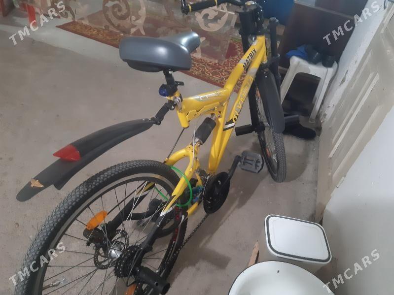 тигир олимпия - Aşgabat - img 4